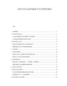 2025年燈頭盒單通項(xiàng)目可行性研究報(bào)告