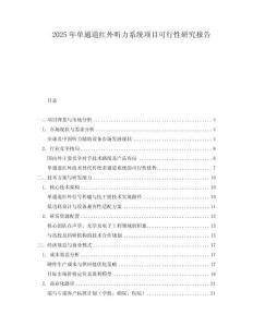 2025年單通道紅外聽力系統(tǒng)項目可行性研究報告