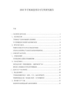 2025年手機(jī)襪套項(xiàng)目可行性研究報(bào)告