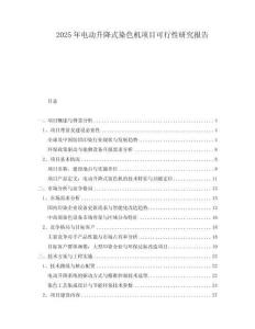 2025年電動(dòng)升降式染色機(jī)項(xiàng)目可行性研究報(bào)告