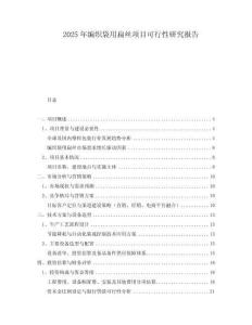 2025年編織袋用扁絲項目可行性研究報告