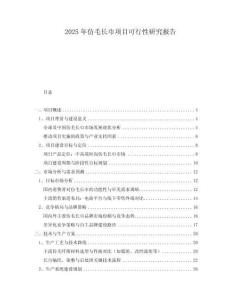 2025年仿毛長巾項目可行性研究報告