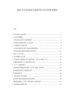 2025年壓花油皮合成革項(xiàng)目可行性研究報(bào)告