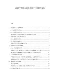 2025年圖形加速卡項目可行性研究報告