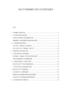 2025年帶柄圓磨片項(xiàng)目可行性研究報(bào)告