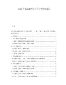 2025年硫氫酸鉀項目可行性研究報告