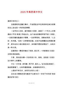 2025年素質高中作文