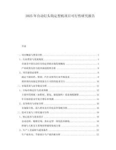 2025年自動(dòng)釘頭鉤定型機(jī)項(xiàng)目可行性研究報(bào)告