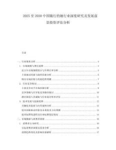 2025至2030中國隨行的她行業深度研究及發展前景投資評估分析