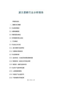 波蘭壟斷行業分析報告