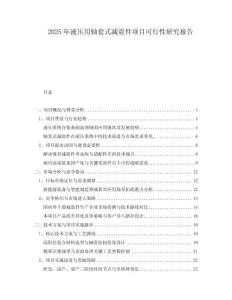 2025年液壓用軸套式減震件項(xiàng)目可行性研究報(bào)告