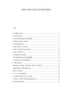 2025年廚巾項目可行性研究報告