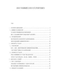 2025年滌棉漂白項(xiàng)目可行性研究報(bào)告