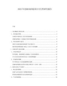 2025年直柄風砂槍項目可行性研究報告