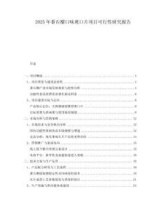2025年番石榴口味爽口片項(xiàng)目可行性研究報(bào)告