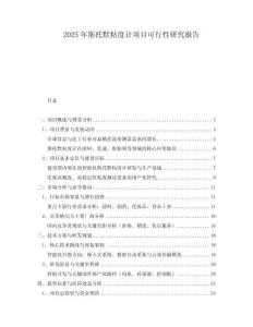2025年斯托默粘度計(jì)項(xiàng)目可行性研究報(bào)告
