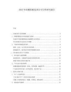 2025年硅酸鋁板氈項目可行性研究報告