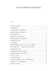 2025年五袋褲項(xiàng)目可行性研究報(bào)告