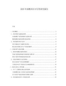 2025年球酰項(xiàng)目可行性研究報(bào)告