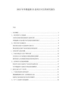 2025年單碟超薄CD盒項目可行性研究報告