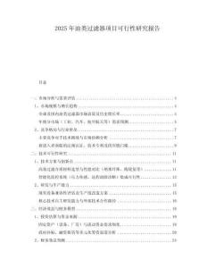2025年油類(lèi)過(guò)濾器項(xiàng)目可行性研究報(bào)告
