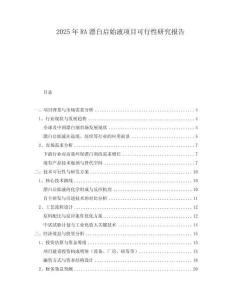 2025年RA漂白啟始液項(xiàng)目可行性研究報(bào)告