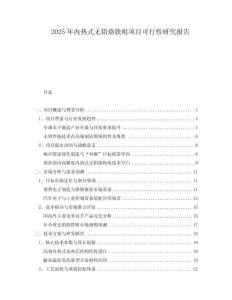 2025年內(nèi)熱式無鉛烙鐵咀項(xiàng)目可行性研究報(bào)告