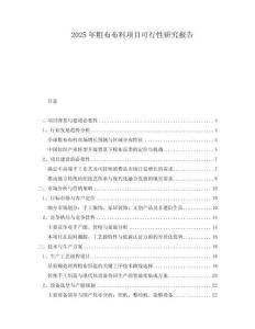 2025年粗布布料項目可行性研究報告