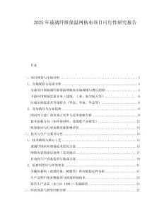 2025年玻璃纖維保溫網(wǎng)格布項目可行性研究報告