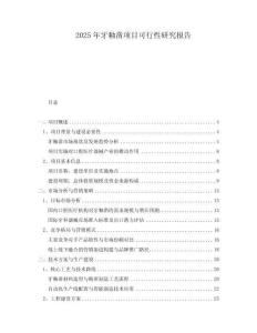 2025年牙釉鑿項目可行性研究報告