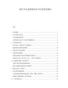 2025年支承塔盤項目可行性研究報告