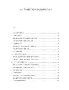 2025年小提琴弓項目可行性研究報告