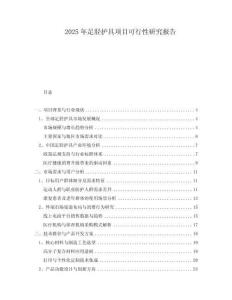 2025年足脛護(hù)具項(xiàng)目可行性研究報(bào)告