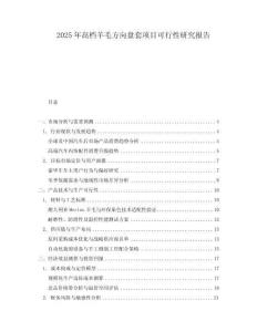 2025年高檔羊毛方向盤套項目可行性研究報告