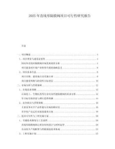 2025年直線形隔膜閥項(xiàng)目可行性研究報(bào)告