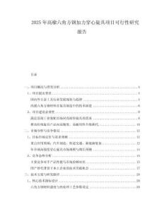 2025年高棣六角方鋼加力穿心旋具項(xiàng)目可行性研究報(bào)告