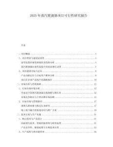 2025年蒸汽熨燙器項(xiàng)目可行性研究報(bào)告