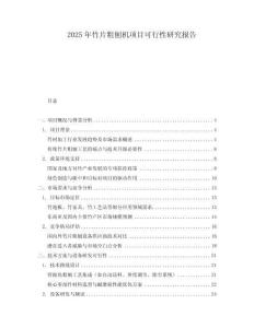2025年竹片粗刨機項目可行性研究報告