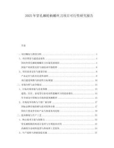 2025年穿孔棘輪柄螺絲刀項(xiàng)目可行性研究報(bào)告