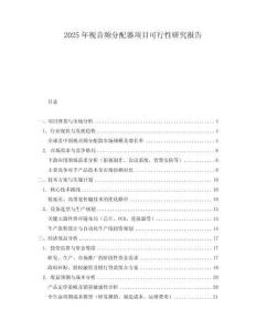 2025年視音頻分配器項目可行性研究報告
