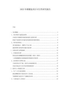 2025年磷酸氨項(xiàng)目可行性研究報(bào)告