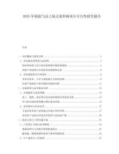 2025年保溫氣動(dòng)上展式放料閥項(xiàng)目可行性研究報(bào)告