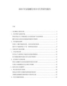 2025年安裝螺釘項(xiàng)目可行性研究報告