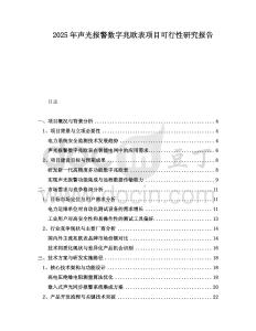 2025年聲光報警數(shù)字兆歐表項目可行性研究報告