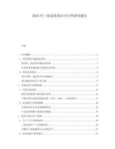 2025年三角皮帶項目可行性研究報告