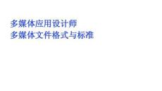 多媒體應(yīng)用設(shè)計(jì)師多媒體文件格式與標(biāo)準(zhǔn)