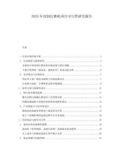 2025年切割打磨機(jī)項(xiàng)目可行性研究報告