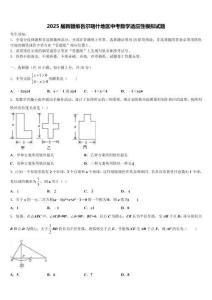 2025屆新疆維吾爾喀什地區(qū)中考數(shù)學(xué)適應(yīng)性模擬試題含解析
