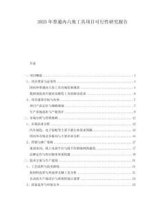 2025年普通內(nèi)六角工具項(xiàng)目可行性研究報(bào)告