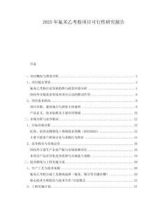 2025年氟苯乙考粉項(xiàng)目可行性研究報(bào)告